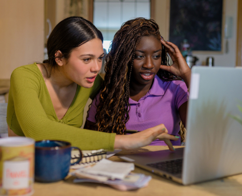 Two Women Using A Laptop To Manage Their Home Finances And File Taxes